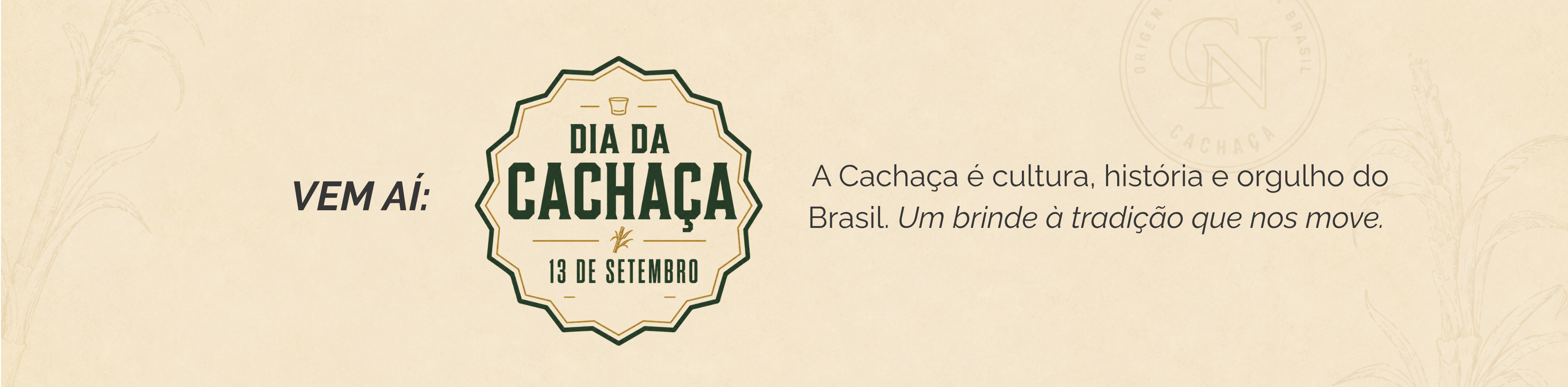 DESKTOP VEM AI DIA DA CACHAÇA
